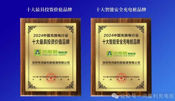 匠心致远，载誉前行：2024年37000cm威尼斯新能源荣获充换电十大品牌奖！(图5)